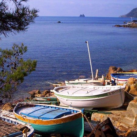 "L'Hippocampe", Climatise, 60 M2 , 2 Chambres, Tres Calme, Plage Des Sablettes Et Commerces A 3 Minutes A Pied, Wifi, Parking Gratuit, Lit King Size La Seyne-sur-Mer Eksteriør bilde