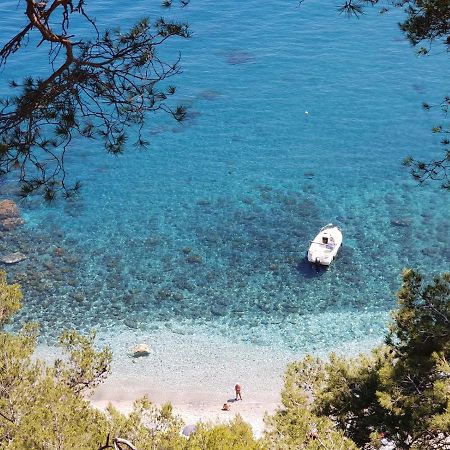"L'Hippocampe", Climatise, 60 M2 , 2 Chambres, Tres Calme, Plage Des Sablettes Et Commerces A 3 Minutes A Pied, Wifi, Parking Gratuit, Lit King Size La Seyne-sur-Mer Eksteriør bilde