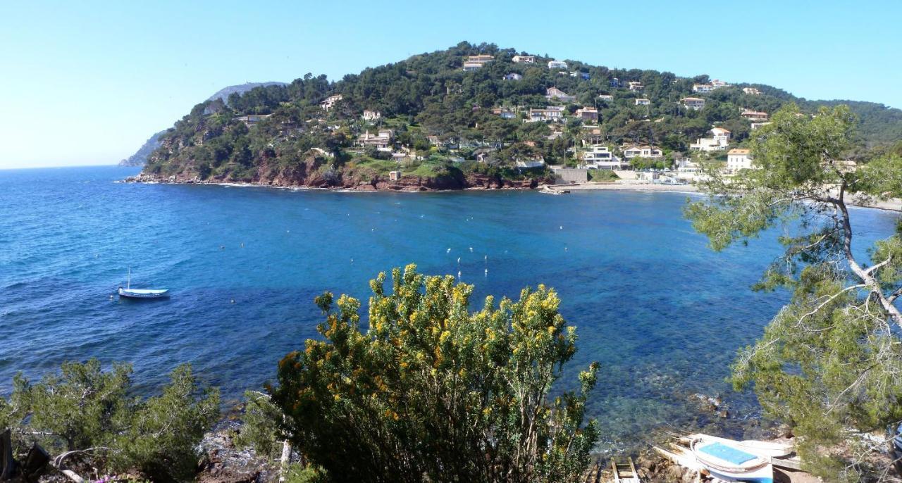 "L'Hippocampe", Climatise, 60 M2 , 2 Chambres, Tres Calme, Plage Des Sablettes Et Commerces A 3 Minutes A Pied, Wifi, Parking Gratuit, Lit King Size La Seyne-sur-Mer Eksteriør bilde