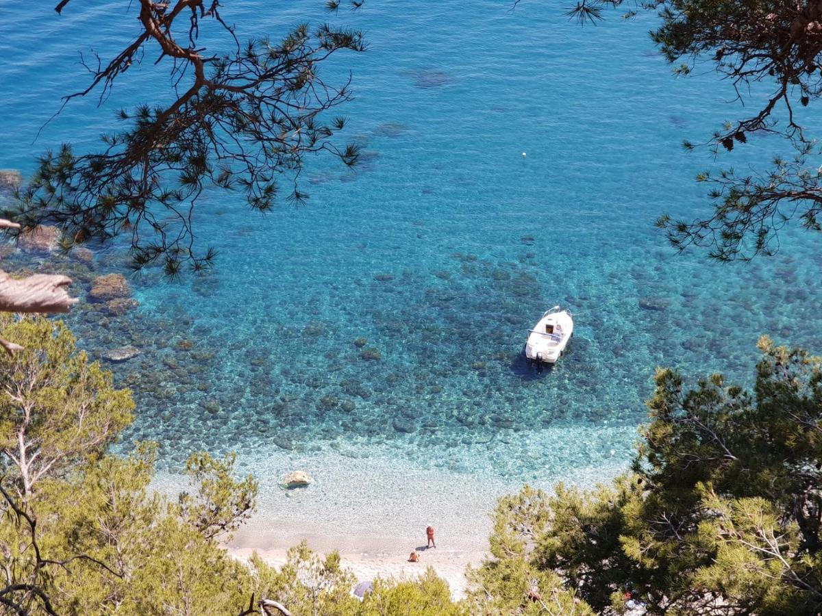 "L'Hippocampe", Climatise, 60 M2 , 2 Chambres, Tres Calme, Plage Des Sablettes Et Commerces A 3 Minutes A Pied, Wifi, Parking Gratuit, Lit King Size La Seyne-sur-Mer Eksteriør bilde